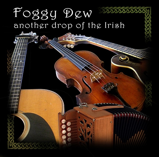 Another Drop Of The Irish by Paddy Brown